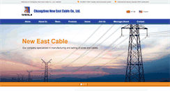 Desktop Screenshot of en.neweastcable.com